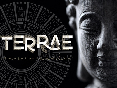 TERRAE branding design graphic design logo typography