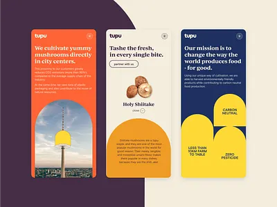 Taste the fresh berlin food food design mushrooms startup ui web design web food