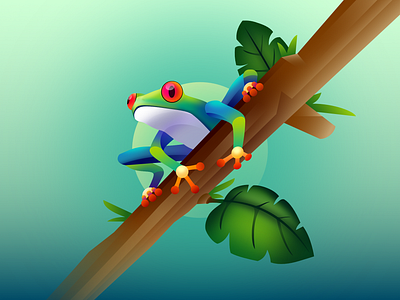 Frog affinity designer frog illustration leaf nature