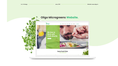 Oligo Microgreens Website clean graphic design green green screen microgreens minimalism minimalistic plants website