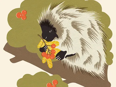 Porcupine | Beside Mag animal art animal illustration design flat illustration illustrator matchbook