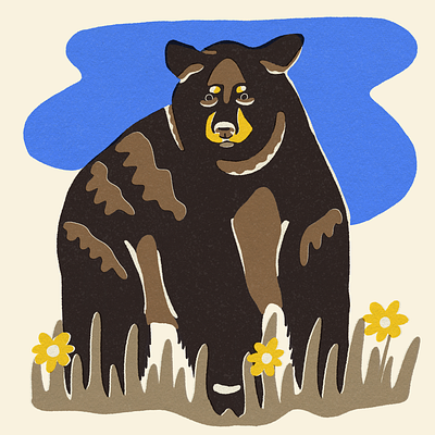 Bear | Beside Mag animal art animal illustration design flat illustration illustrator matchbook