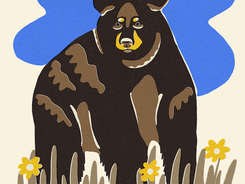 Bear | Beside Mag animal art animal illustration design flat illustration illustrator matchbook