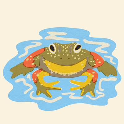 Bullfrog | Beside Mag animal art animal illustration design flat illustration illustrator matchbook