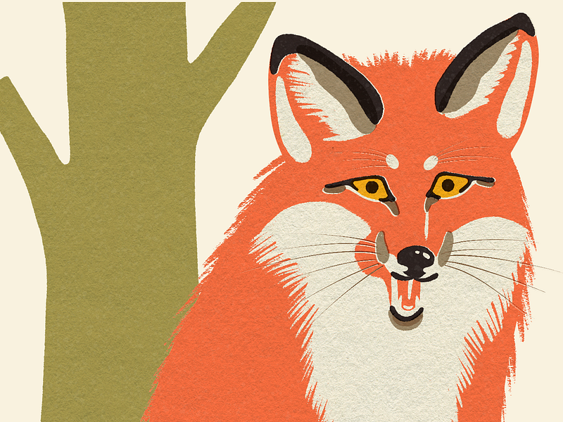 Fox | Beside Mag animal art animal illustration design flat illustration illustrator matchbook