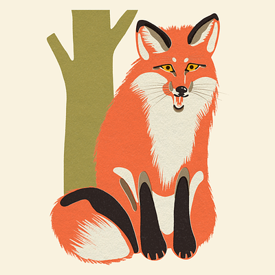 Fox | Beside Mag animal art animal illustration design flat illustration illustrator matchbook