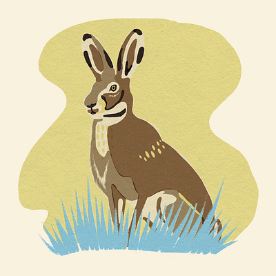 Hare | Beside Mag animal art animal illustration design flat illustration illustrator matchbook