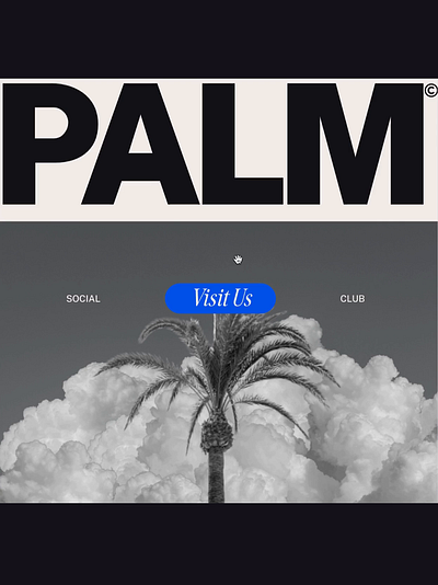 Palm Social- Luxury Athletic Club Landing Page blue and green brand concept brand identity california brand design landing page luxury brand luxury website ocean palm palm tree ui web design website design wordpress