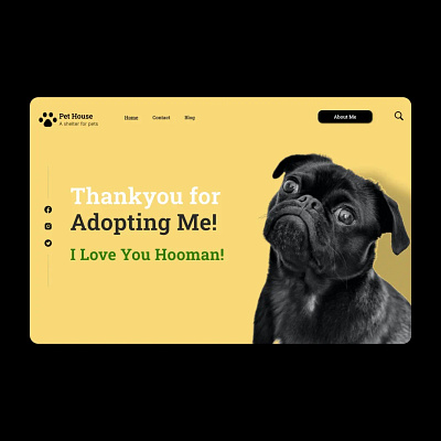 Pet House - Thankyou page 3d animation branding design figma graphic design illustration logo motion graphics ui uiux ux vector