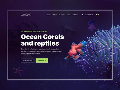 Fish and Aquarium Ecommerce Website aquarium aquarium shop aquarium website corals website design ecommerce fish shop fish store fish website homepage landing page marine minimal reptile sea animals uiux water web web design website