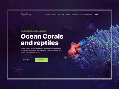 Fish and Aquarium Ecommerce Website aquarium aquarium shop aquarium website corals website design ecommerce fish shop fish store fish website homepage landing page marine minimal reptile sea animals uiux water web web design website