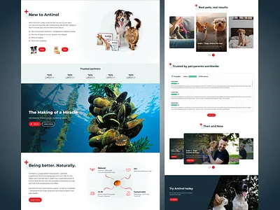 Animal supplement website design design uiux