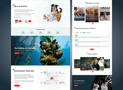 Animal supplement website design design uiux