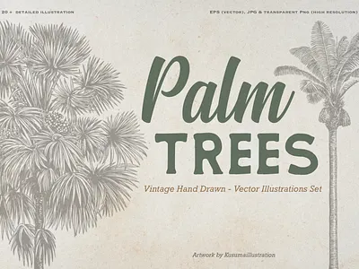 Palm Tree Collection. Vintage Hand Drawn Illustrations botanical illustration classic design classic illustration hand drawn element hand drawn illustration line art line art illustration logomark nature illustration palm tree engraving palm tree illustration retro illustration retro style tropical design tropical design element tropical plant vector illustration vintage design vintage illustration vintage logo