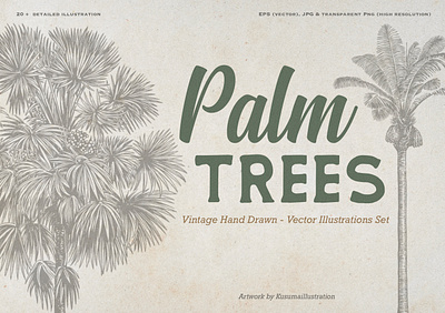 Palm Tree Collection. Vintage Hand Drawn Illustrations botanical illustration classic design classic illustration hand drawn element hand drawn illustration line art line art illustration logomark nature illustration palm tree engraving palm tree illustration retro illustration retro style tropical design tropical design element tropical plant vector illustration vintage design vintage illustration vintage logo