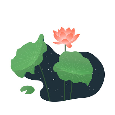 Lotus illustration lotus vector work