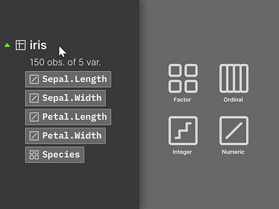 variablesType dataset factor icons integer line numeric types variable