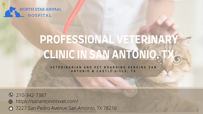 Professional Veterinary Clinic in San Antonio, TX veterinary clinic san antonio tx