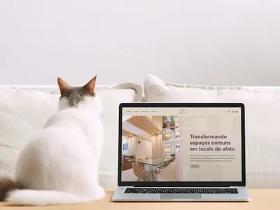 Portfolio Cecilia Nunes branding logo ui