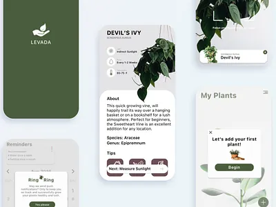 Levada Case Study plant care ui ux