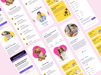 Pet care service Responsive View clean creative design designer designsolutions dribbble flatdesign modern professional redesign typography ui ux