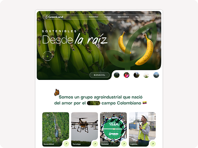 A web design project for an agro-industrial group agrotech figma landing page ui ux uxui