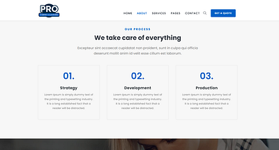 Home Page Design ideas for carpet cleaning website branding graphic design