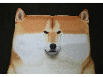 Randy 2 animal animals collage dog dog portrait dogs dribbble illustration portrait