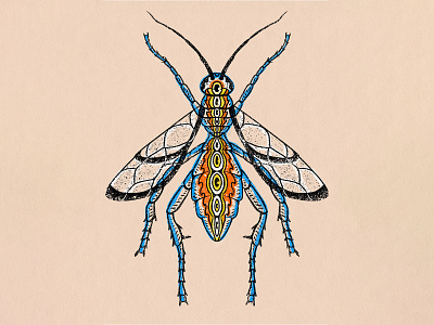 Avispa de Fuego illustration ink insect texture trippyart