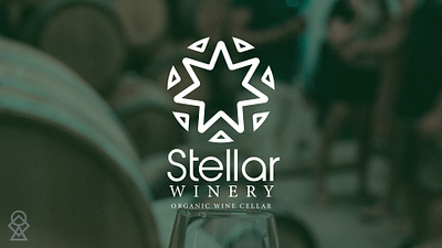 Stellar Wine Cellar brand identity branding design graphic design illustration logo vector visual identity