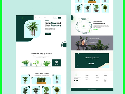 Plant Shop landing Page branding graphic design header header design plant plant header plant landing page plantsshop r rayhan rony tree ui ui ux