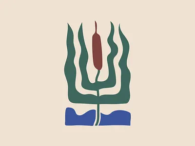 Reed illustration illustration reed vector