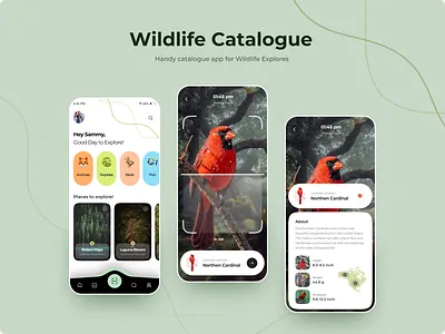 Wildlife Catalogue App Concept! branding design designer illustration logo ui ui ux uidesign uiux webdesign