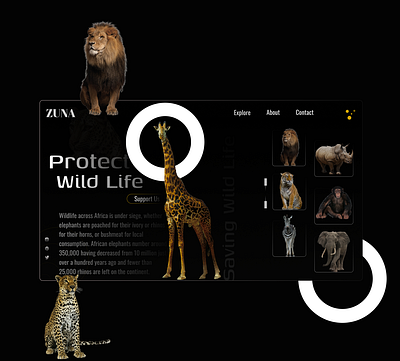 "Protect Wild Life" |UI&UX Design| ui ux