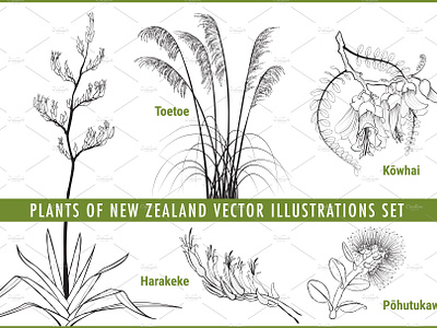 Plants of New Zealand Vector Set