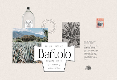 Argentine - Elegant Nostalgic Sans aesthetic branding creative market design editorial elegant font fonts graphic design logo logo design nostalgic packaging retro serif type design typeface typography ui
