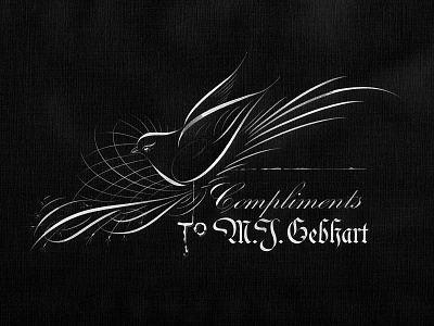 Compliments to M. J. Gebhart (Offhand Flourishing) americana calligraphy dip pen handwriting lettering offhand flourishing penmanship traditional art typography