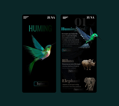 "Huming Bird" App Design app ui ux