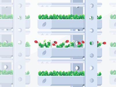 Aeroponic Moscow (2) aeroponic lab light plant strawberry