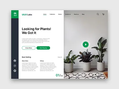 Plant Gardening Shop 360 view app design ecommerce website gardening app indoor plants landing page landscape pant care plant care ui ux web