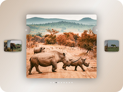 #DailyUI 072 - Image Slider 100daysofui africa branding carousel dailyui dailyui 072 dailyui 72 design designchallenge dribbblechallenge image image carousel image slider photo album photo carousel photo slider ui uichallenge ux