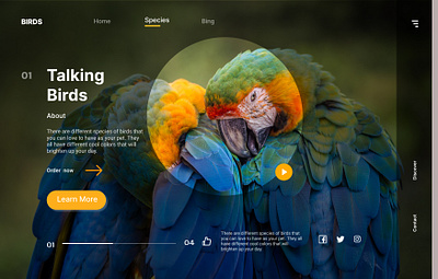A web app for online shopping of birds design figma ui web design