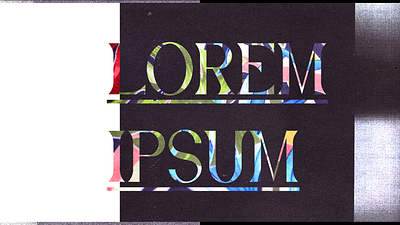 Lorem 2d animation colors debut design illustration ilustracion motion