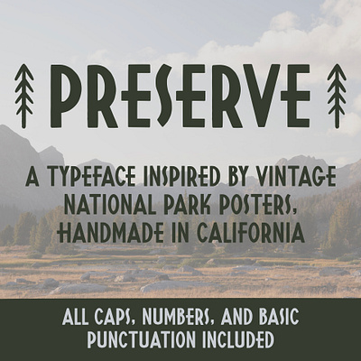 Preserve Vintage Parks Typeface font type design typography