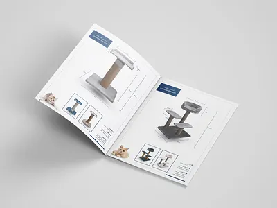 Catalouge Design branding design graphic design