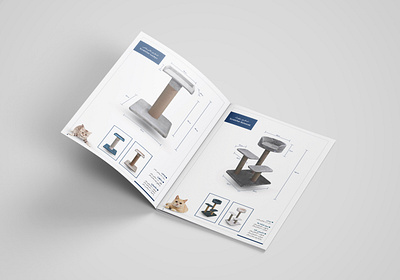 Catalouge Design branding design graphic design