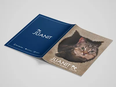 Catalouge Design branding design graphic design