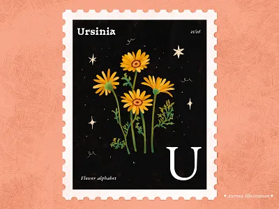 Flower alphabet 21/26 - Ursinia abc alphabet art artist book illustration children illustration design draw flower flower alphabet flower art flower illustration illustration illustrator licensing ursinia