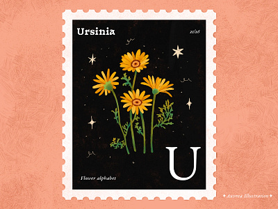 Flower alphabet 21/26 - Ursinia abc alphabet art artist book illustration children illustration design draw flower flower alphabet flower art flower illustration illustration illustrator licensing ursinia