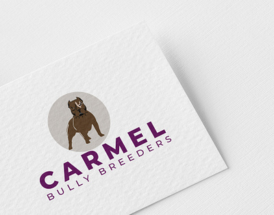 CARMEL BULLY Breeders app branding design icon illustration logo typography ui ux vector